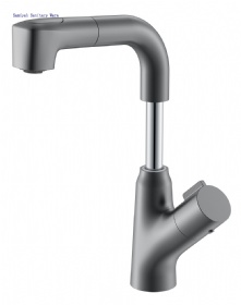 Samiyah FLY SERIES 1LN020106 Faucet Pull Out Kitchen Tap Wholesale